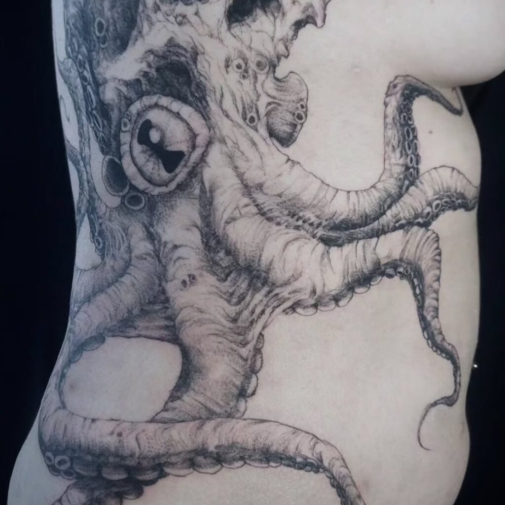 screenshot 20260219 123215 instagram copie